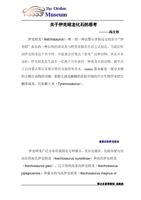 鄂尔多斯伊克昭龙