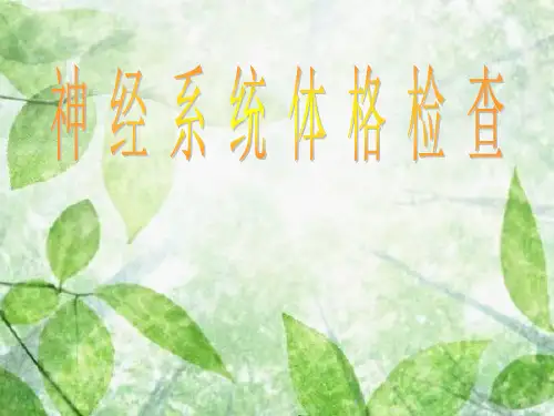 神经系统体格检查-