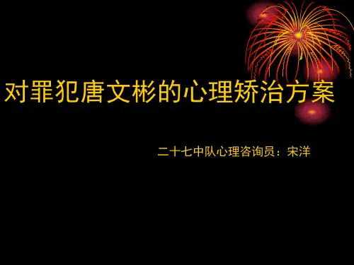 罪犯心理咨询矫治方案个案范本