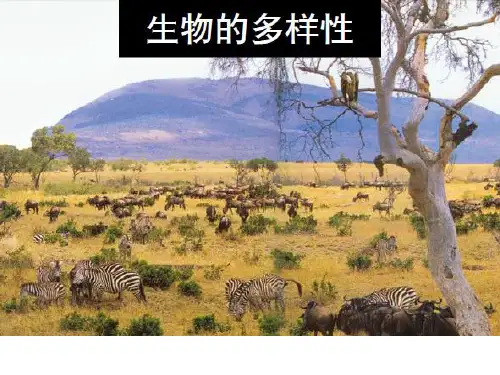 六上第四单元生物的多样性