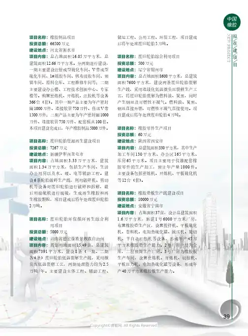 20590621_拟在建项目
