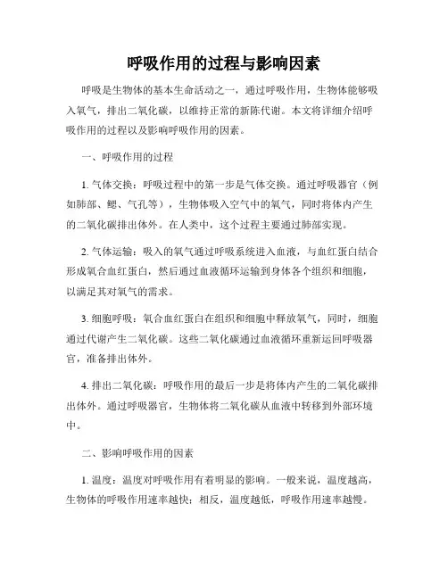 呼吸作用的过程与影响因素