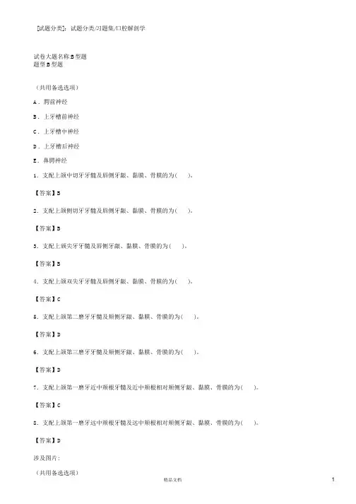 口腔解剖学(B型题)【2015主治医师考试题库(口腔内科)(含答案)】