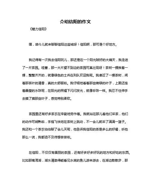 介绍信阳的作文