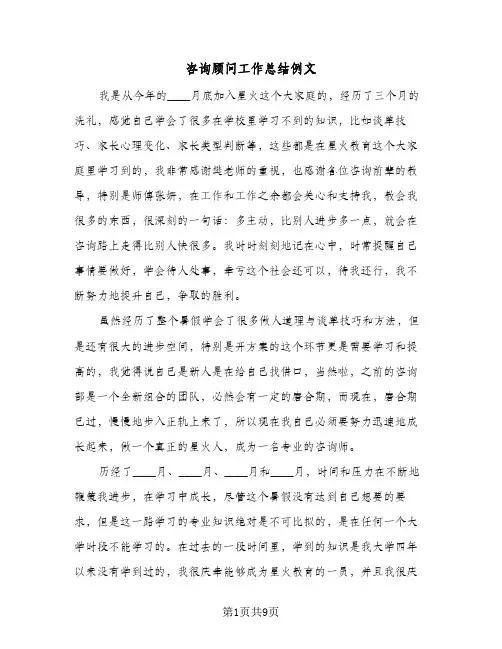 咨询顾问工作总结例文(5篇)