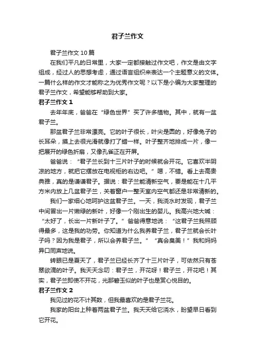 君子兰作文10篇