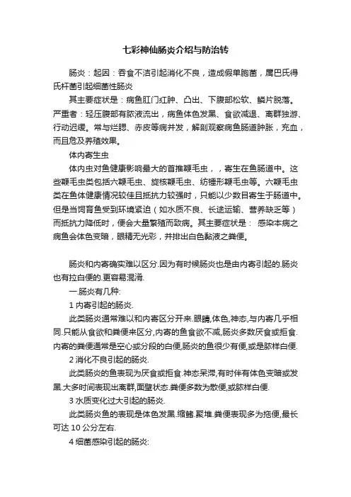 七彩神仙肠炎介绍与防治转