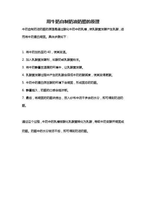 用牛奶自制奶油奶酪的原理