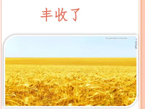 大班绘画课《丰收的季节》ppt课件