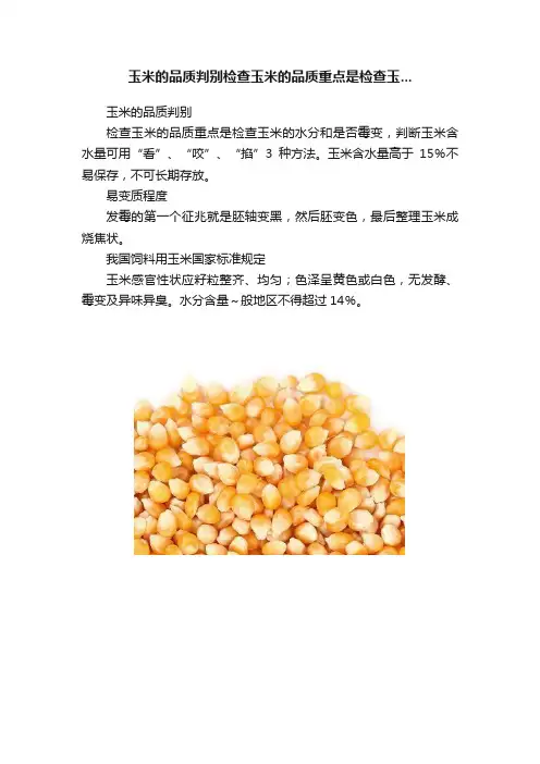 玉米的品质判别检查玉米的品质重点是检查玉...