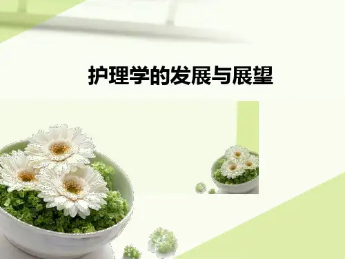护理学的发展与展望ppt课件