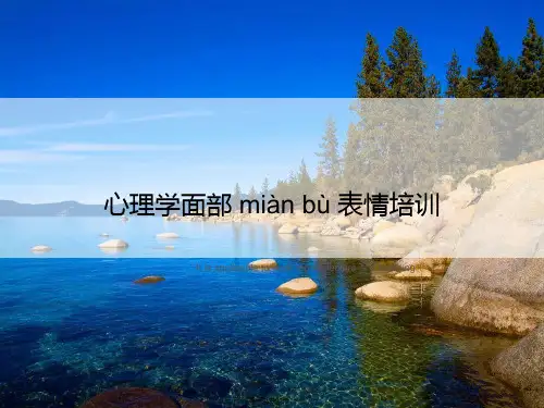 心理学面部表情培训