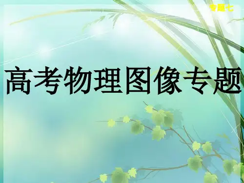 高考物理图像专题解析 PPT课件 图文