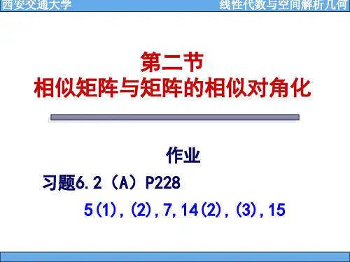 6-2相似矩阵与矩阵的相似对角化资料