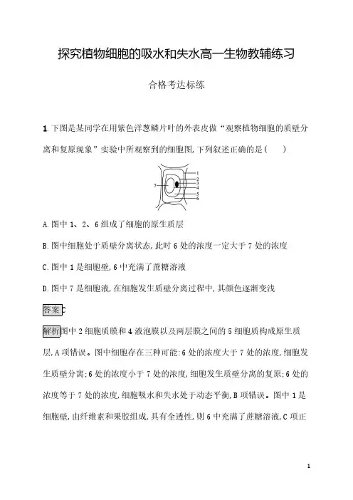 探究植物细胞的吸水和失水高一生物教辅练习