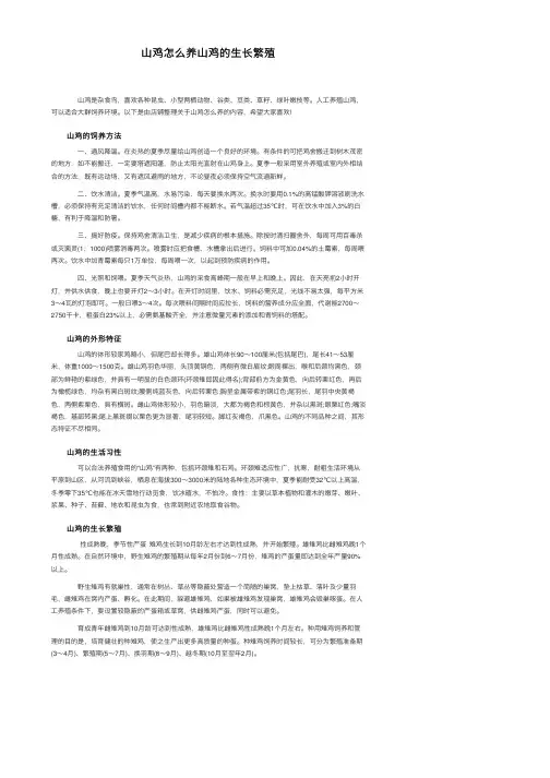 山鸡怎么养山鸡的生长繁殖