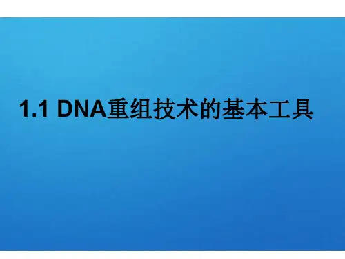 高一生物DNA重组技术的基本工具