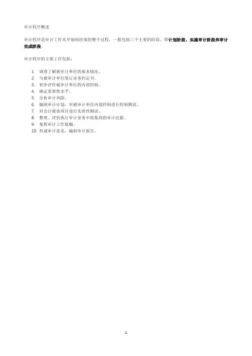审计程序概述