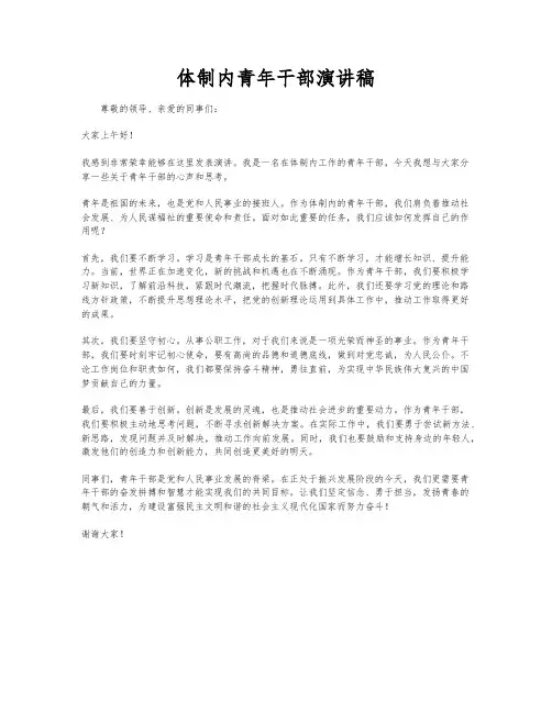 体制内青年干部演讲稿