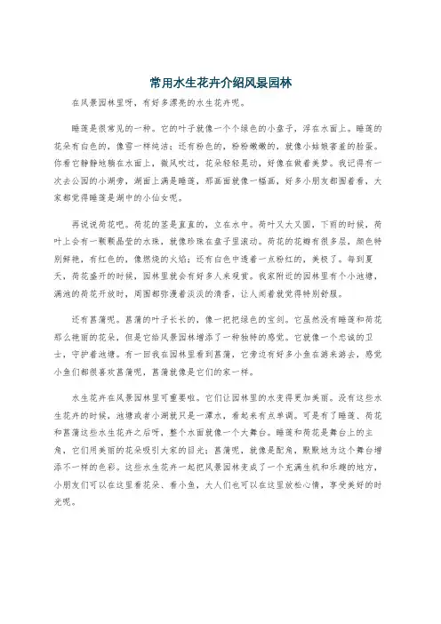 常用水生花卉介绍风景园林