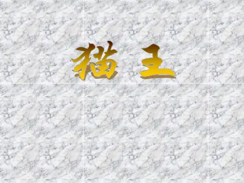 《猫王》好书推荐PPT