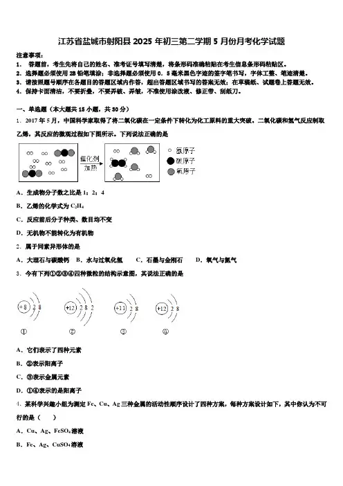 江苏省盐城市射阳县2025年初三第二学期5月份月考化学试题含解析