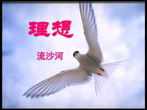 《理想》PPT课件3 (共78张PPT)