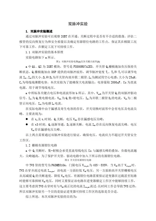 双脉冲实验报告 (2)