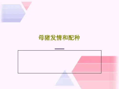 母猪发情和配种30页PPT