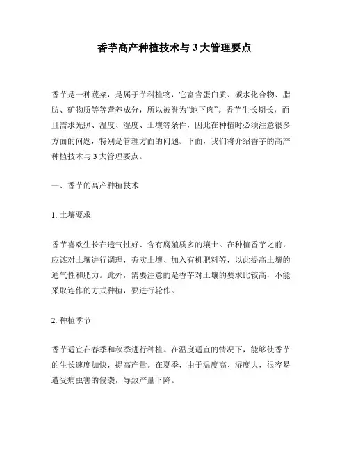 香芋高产种植技术与3大管理要点