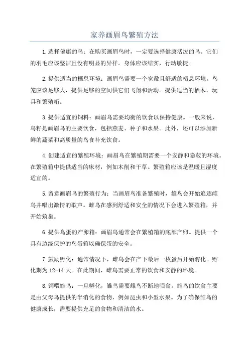 家养画眉鸟繁殖方法