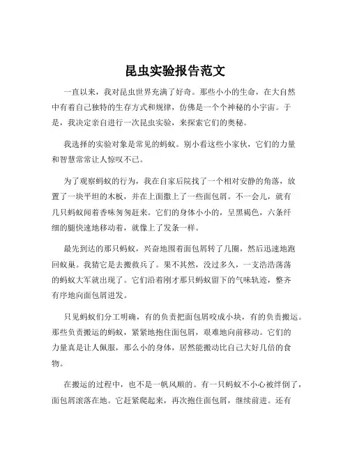 昆虫实验报告范文