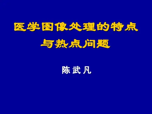 医学图像处理的特点和热点问题