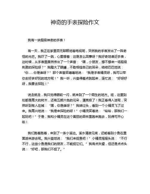 神奇的手表探险作文