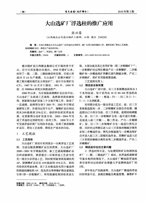 大山选矿厂浮选柱的推广应用