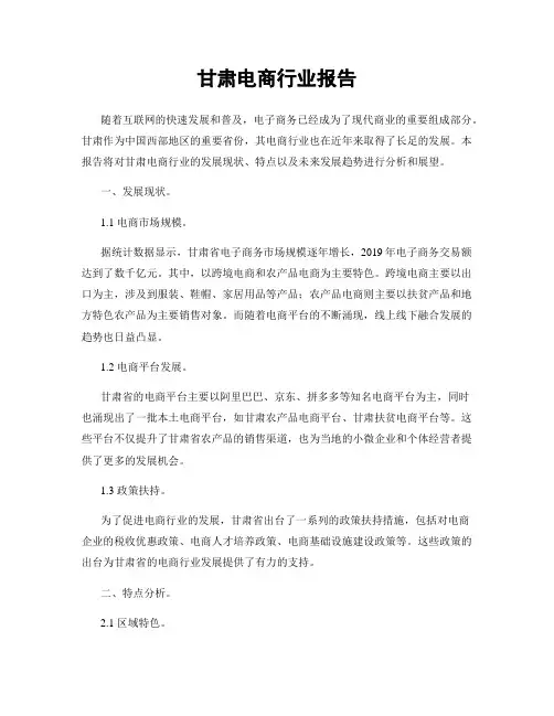 甘肃电商行业报告