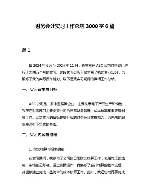 财务会计实习工作总结3000字6篇