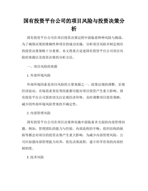 国有投资平台公司的项目风险与投资决策分析
