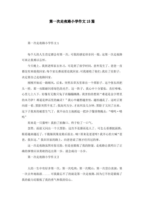 第一次走夜路小学作文15篇