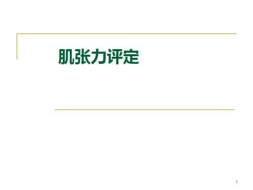 肌张力及评定