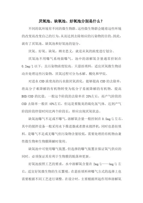 厌氧池、缺氧池、好氧池分别是什么？
