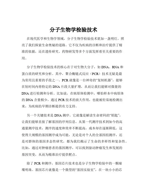 分子生物学检验技术