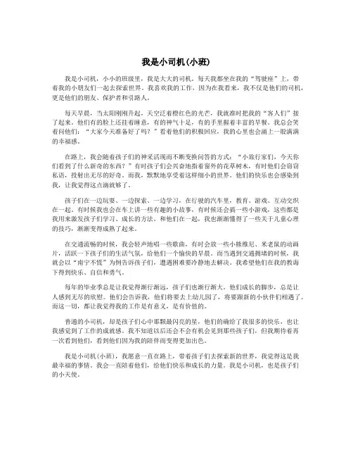 我是小司机(小班)