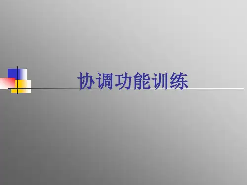 协调功能训练