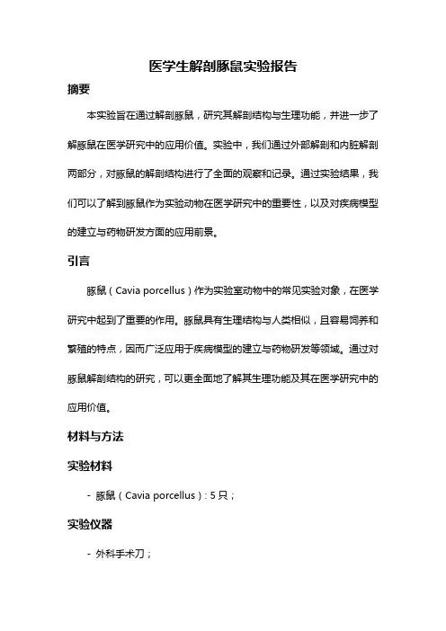医学生解剖豚鼠实验报告