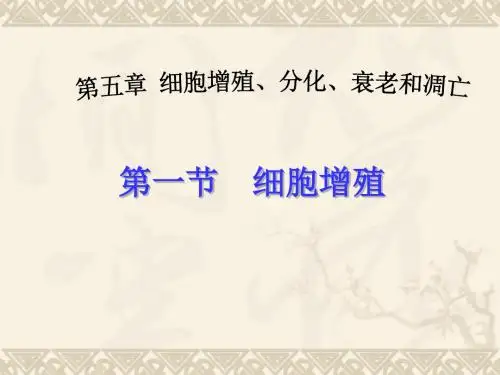 人教版必修1第六章 第一节细胞的增殖(共30张PPT)