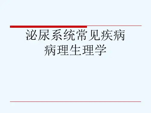 泌尿系统常见疾病 病理生理学[可修改版ppt]