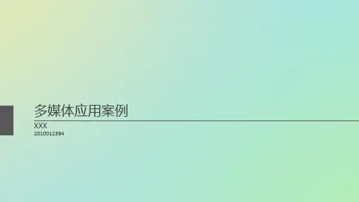 多媒体应用案例十例