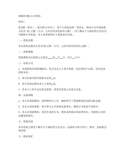 个人向公司借条申请书模板