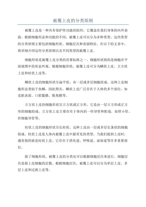被覆上皮的分类原则